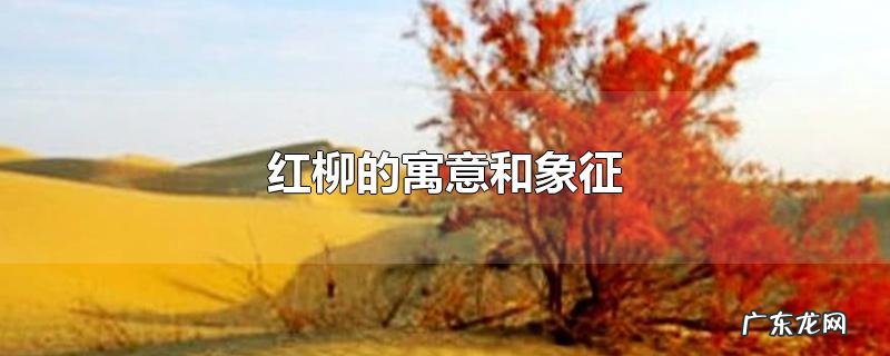 红柳的寓意和象征