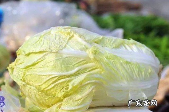 白菜上的黑点点是什么