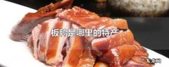 板鸭是哪里的特产