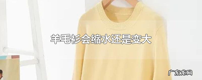 羊毛衫会缩水还是变大