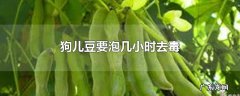 狗儿豆要泡几小时去毒