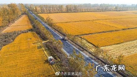 东海市是哪一个省的 东海市是哪一个省