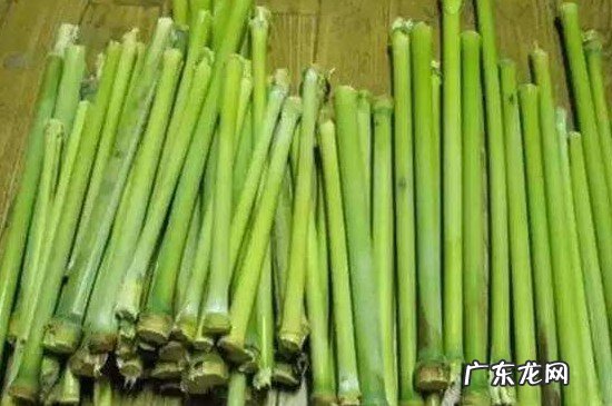 甜杆和甘蔗有什么区别