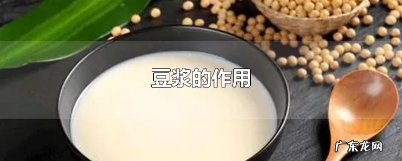 豆浆的作用