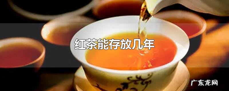红茶能存放几年