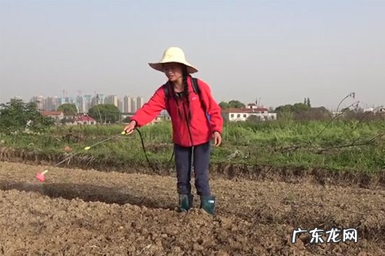 农事活动有哪些