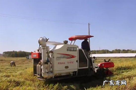 农事活动有哪些