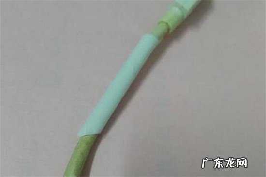 防止数据线断裂的办法