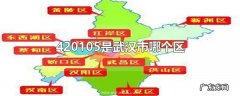 420105是武汉市哪个区