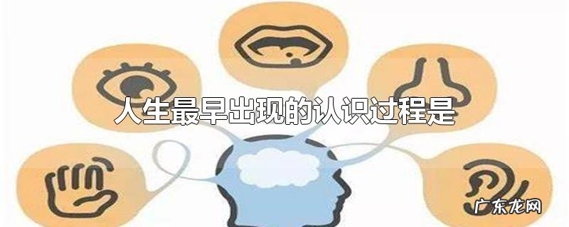 人生最早出现的认识过程是