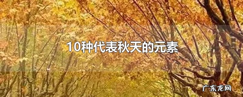 10种代表秋天的元素
