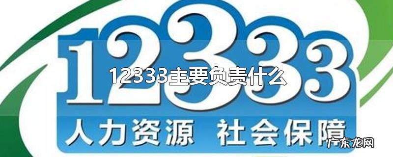 12333主要负责什么