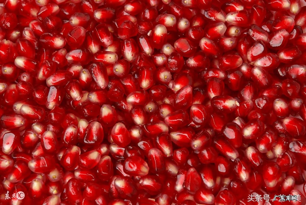 吃石榴要吃籽吗 石榴的籽可不可以吃