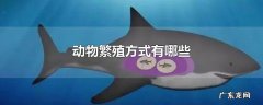 动物繁殖方式有哪些