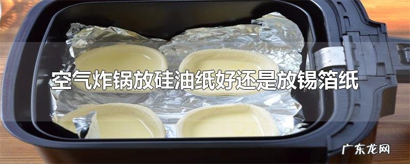 空气炸锅放硅油纸好还是放锡箔纸