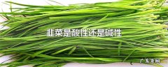 韭菜是酸性还是碱性