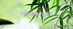 竹叶长得像什么形状