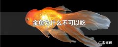 金鱼为什么不可以吃