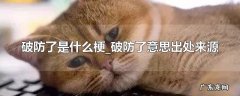 破防了是什么梗_破防了意思出处来源