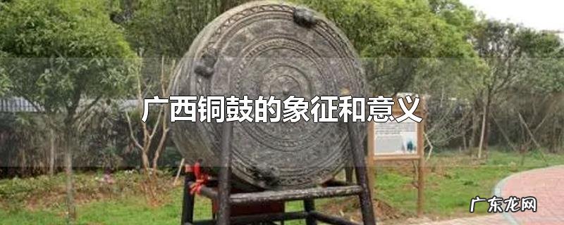 广西铜鼓的象征和意义