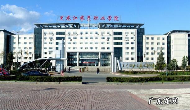 哈尔滨技术学校有哪些专业 哈尔滨职业技术学校有哪些专业