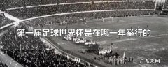第一届足球世界杯是在哪一年举行的