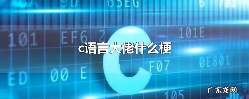 c语言大佬什么梗