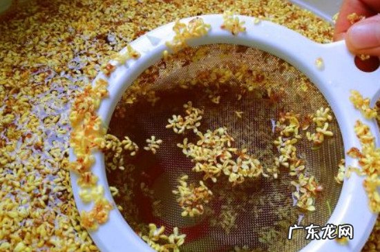 桂花蜜桂花需要焯水吗