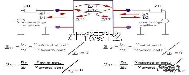 s11代表什么