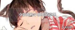 小奶狗和小狼狗的意思