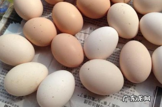 鸡蛋鸡肉能一起吃吗