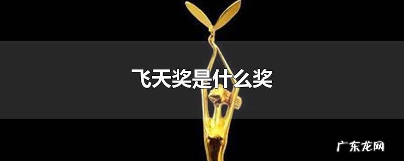 飞天奖是什么奖