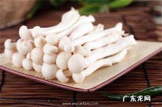 蟹味菇和白玉菇可以一起吃吗