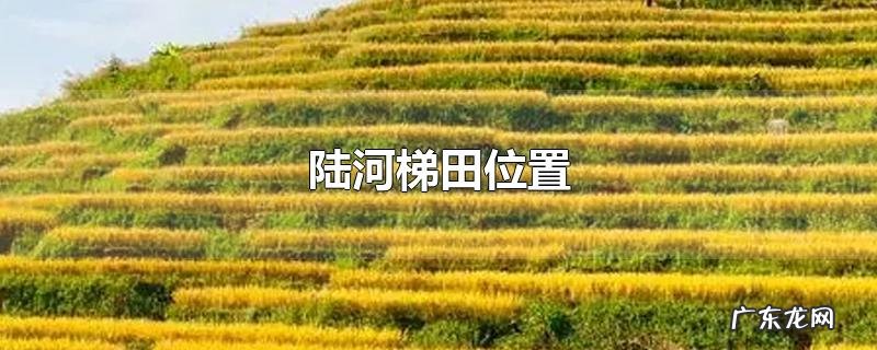 陆河梯田位置
