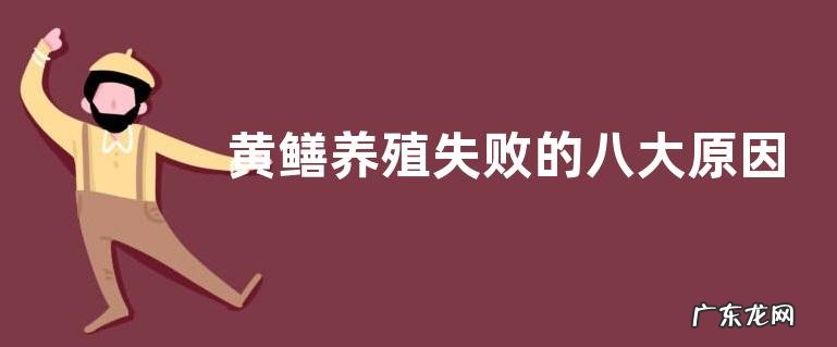 黄鳝养殖失败的八大原因总结,附常见黄鳝类型