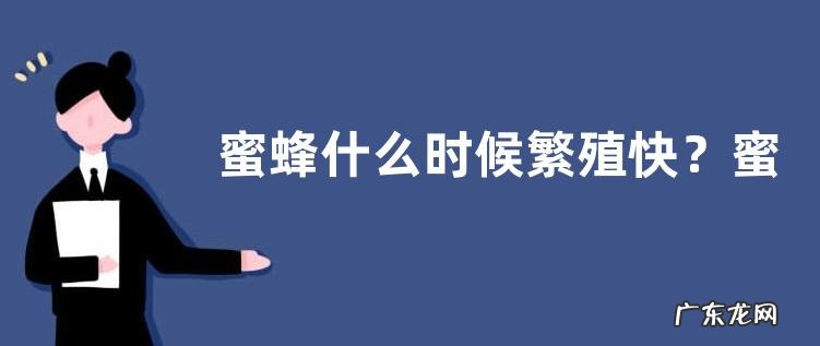 蜜蜂什么时候繁殖快?蜜蜂怎样养繁殖才快
