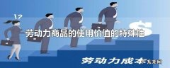 劳动力商品的使用价值的特殊性