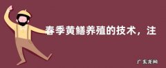春季黄鳝养殖的技术，注意做好换水工作