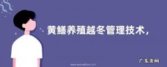 黄鳝养殖越冬管理技术，各越冬方法的优缺点