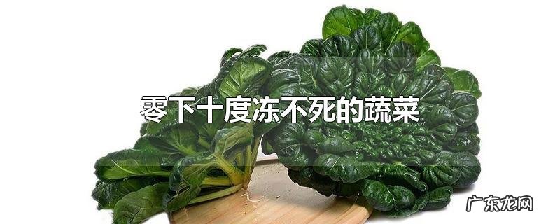 零下十度冻不死的蔬菜