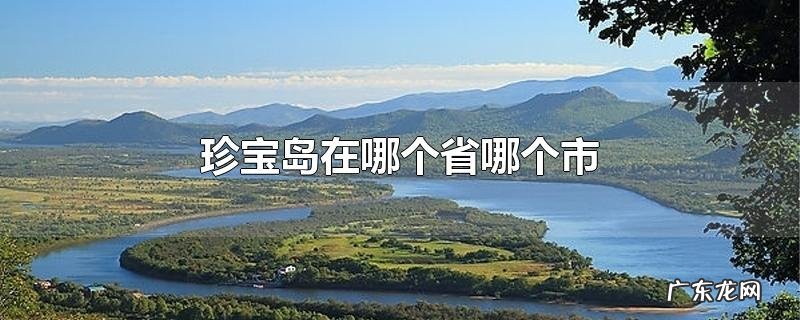珍宝岛在哪个省哪个市
