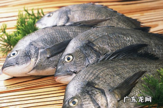 鲫鱼和菠菜能一起吃吗