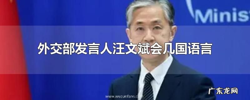 外交部发言人汪文斌会几国语言