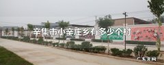 辛集市小辛庄乡有多少个村