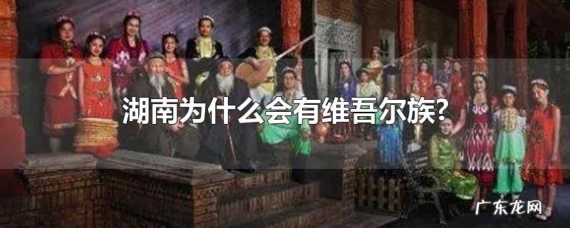 湖南为什么会有维吾尔族?