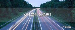 s11是什么意思?