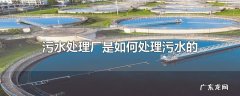 污水处理厂是如何处理污水的