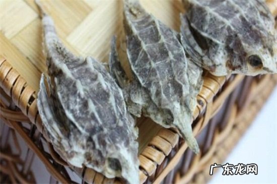 海麻雀的功效与作用及食用方法