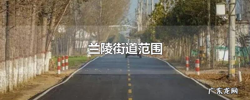 兰陵街道范围