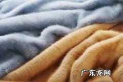 貉子皮 貉子毛属于皮草吗